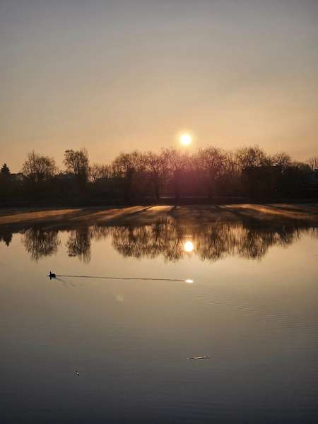 Морозний березневий світанок на Теремнівських ставках (фото)