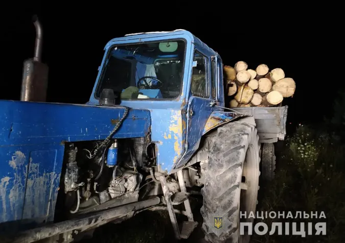 Волинянин вкрав у лісництві 30 колод сосни (фото)