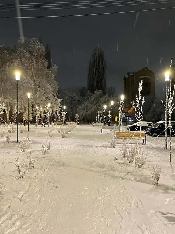 Вулиці Луцька замело снігом (фото)