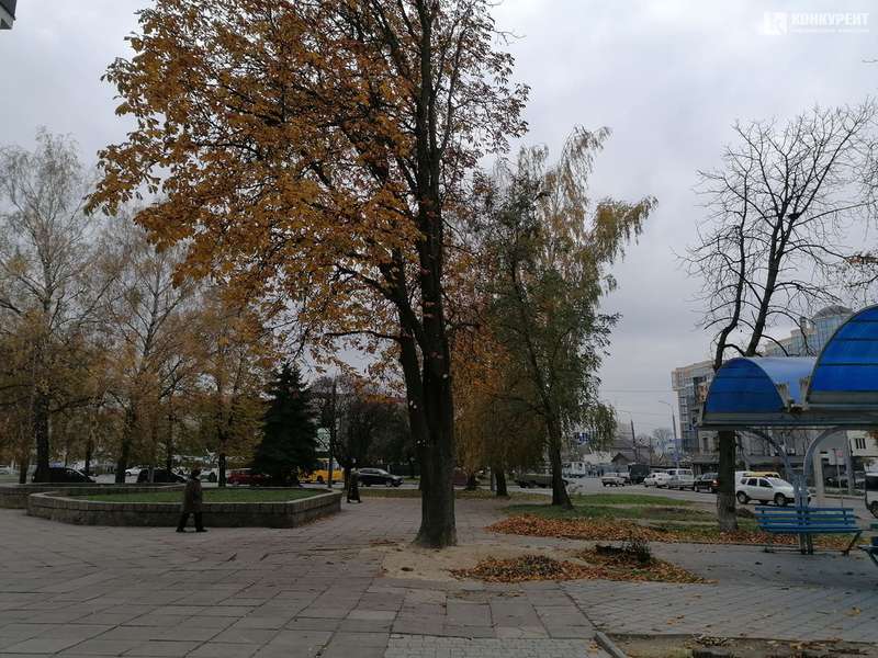 Осінь у  Луцьку (фото)