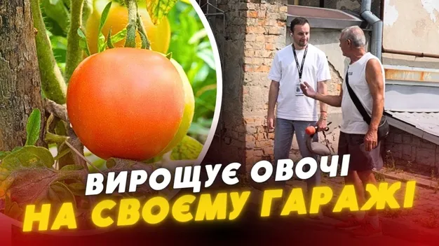 У Луцьку чоловік вирощує помідори на даху гаража (відео)