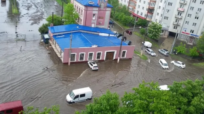 На Волині негода повалила дерева