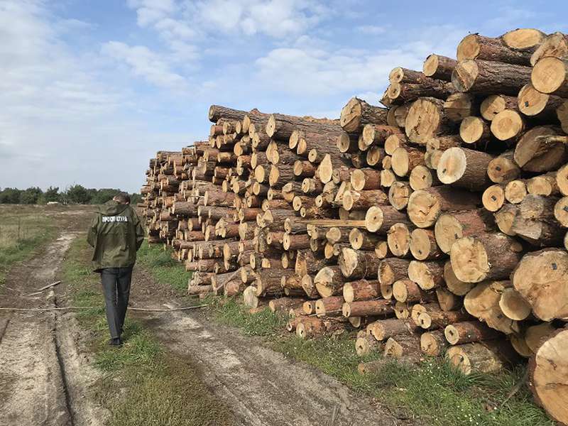 На Волині арештували понад 600 кубів незаконної деревини (фото, відео)
