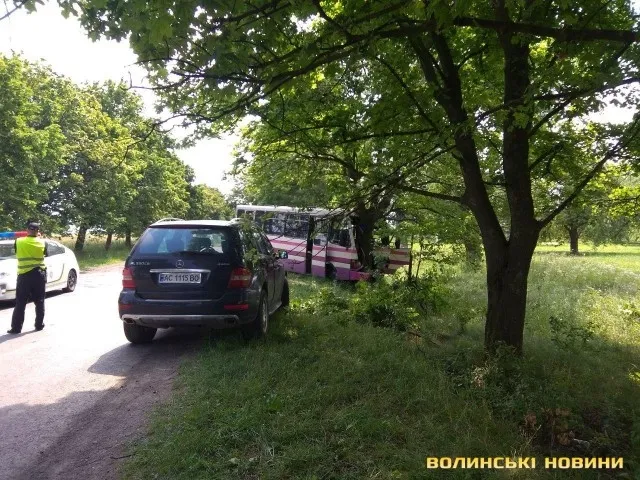 На Волині рейсовий автобус врізався у дерево (фото)