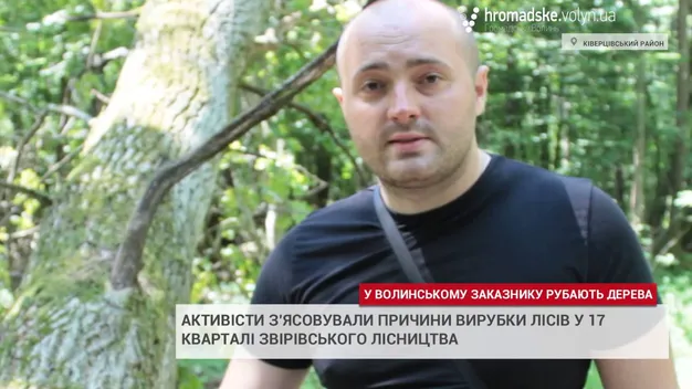 У заказнику на Волині вирубують ліс