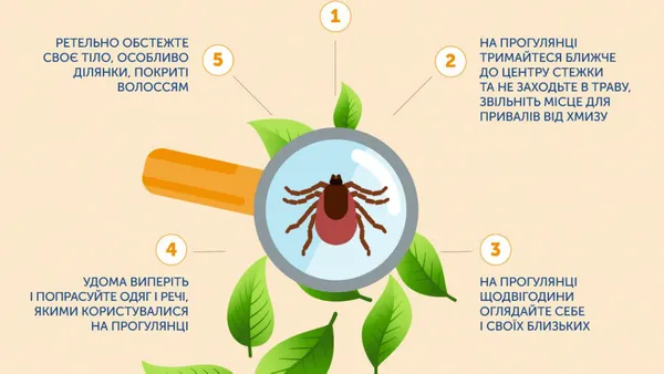 У ЦГЗ розповіли, як уберегтися від укусів кліщів