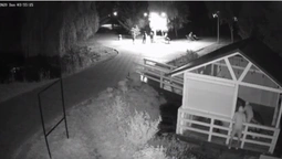 З луцького парку вкрали крісла-мішки: камери зафіксували злодіїв (відео)