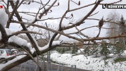 «Некалендарна» зима: як довго сніжитиме на Волині (відео)