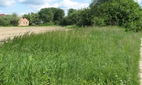 На Волині громаді віддали безхазяйну землю 