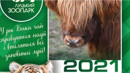 "Луцький зоопарк" випустив "хвостато-вусатий" календар на 2021 рік (фото)