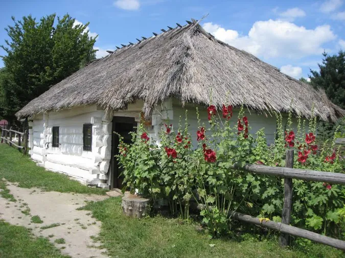Левову частку Музею історії сільського господарства передали у власність Луцької громади