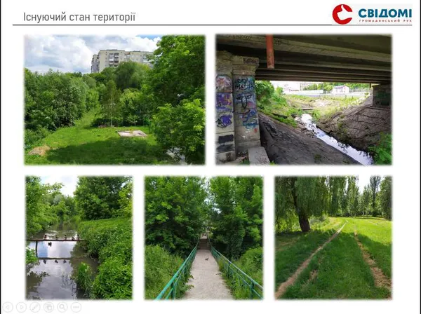 Концепцію облаштування Сапалаївки у Луцьку обговорили експерти (фото, відео)