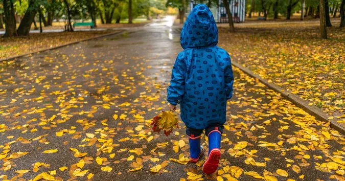 Увесь день дощ: погода в Луцьку на середу, 16 листопада