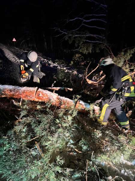 Повалені дерева, автобуси у кучугурах: вночі на Волині вирувала негода (фото)