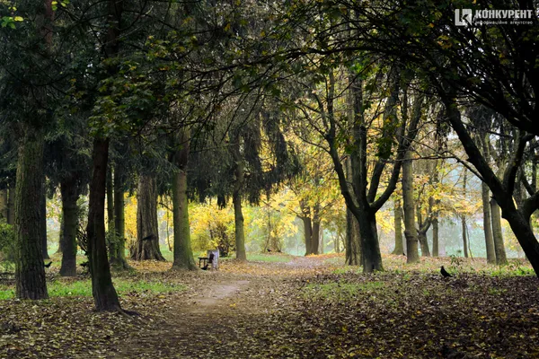 Лячно, кольорово, тихо: осінь у парку 900-річчя Луцька (ФОТО)