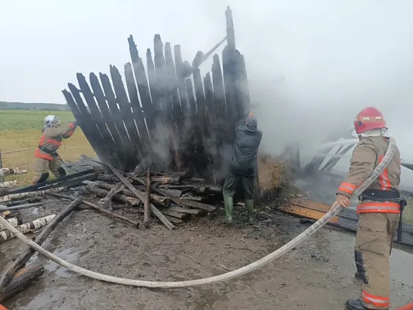 На Волині через грози сталися чотири пожежі