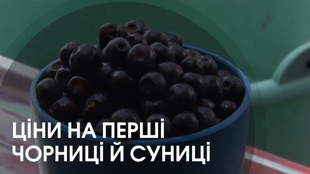На луцьких ринках з’явилися перші чорниці і суниці (відео)