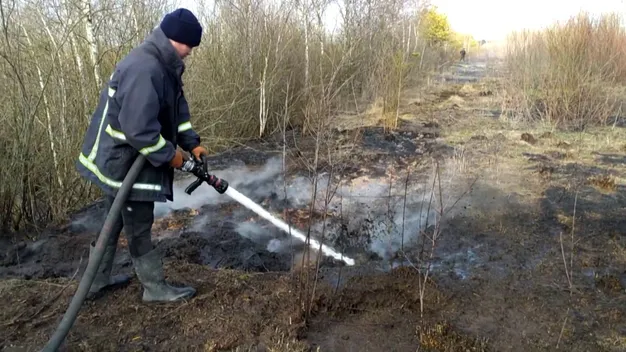 На Волині горіло торфовище (фото, відео)