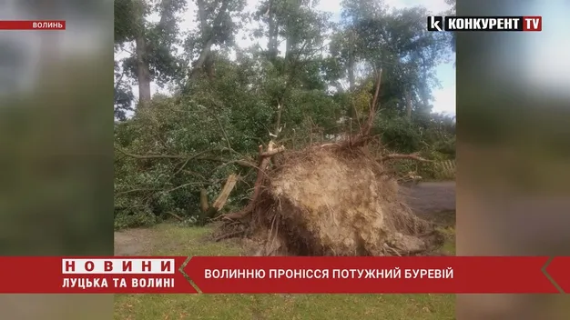 Негода на Волині порозкривала хати та повалила дерева (фото, відео)
