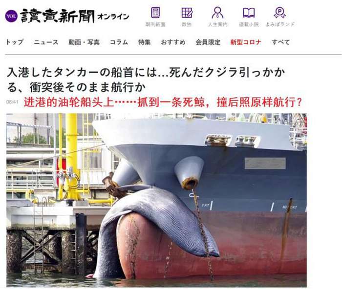 У Японії корабель привіз на носі велетенський «сюрприз» (фото)