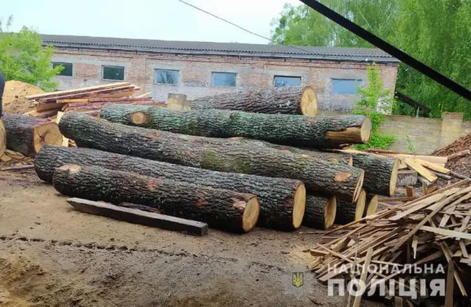 Рубками лісів займаються озброєні злочинні групи: Волинь – приклад
