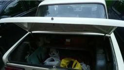 У Луцьку спіймали автомобільного злодія (фото)