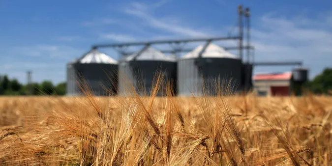 «Волинь-Зерно-Продукт» розширює свої зерносховища 