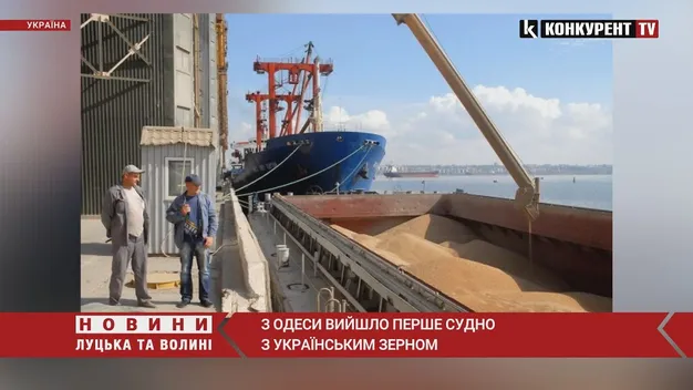 Перше судно із зерном вийде з Одеси зранку 1 серпня, – Туреччина (відео)