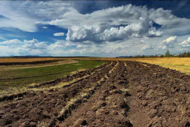 На Волині в чоловіка через борги заберуть понад 40 гектарів землі