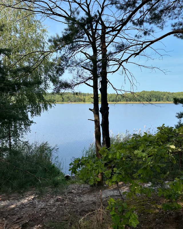 У воді – багато мінералів: на Волині є озеро, в якому повно риби (фото)