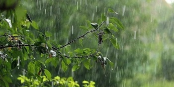 У другій половині дня – дощ: погода в Луцьку в неділю, 2 червня