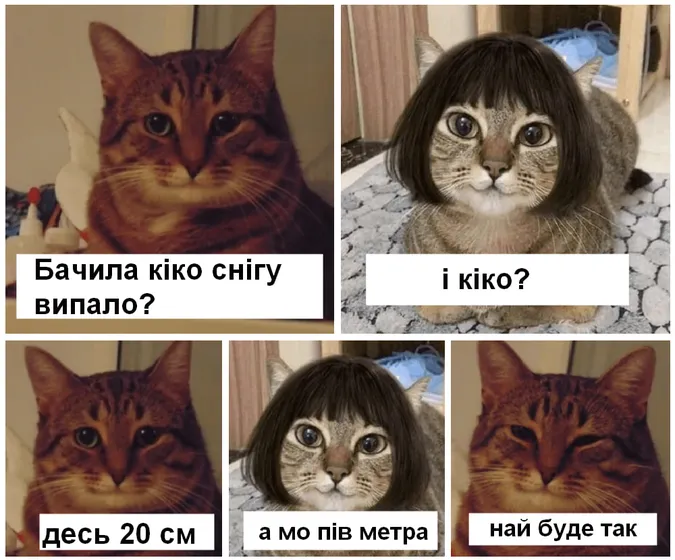 Вхурделило: як соцмережі жартують про погоду