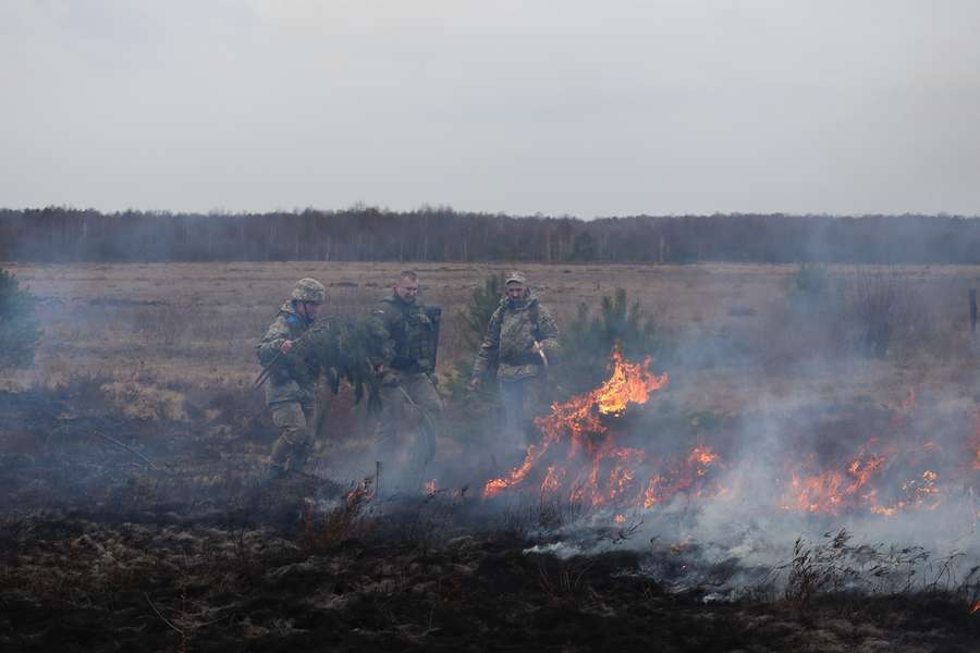 Волинські тероборонівці приборкали серйозну пожежу сосновими гілками (фото)