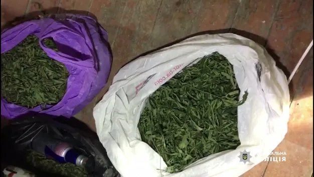 2,5 кіло марихуани: у Луцьку затримали наркоторгівця (фото, відео)