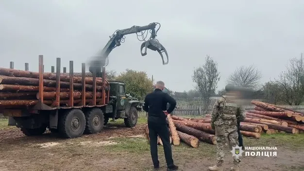 На Волині викрили незаконну схему порубки дерев на майже 6 мільйонів (відео)