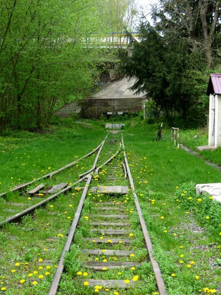 Руїни дитячої залізниці у Луцьку (фото)