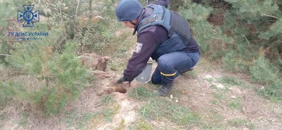 У лісі на Володимирщині знайшли 27 старих боєприпасів (фото)