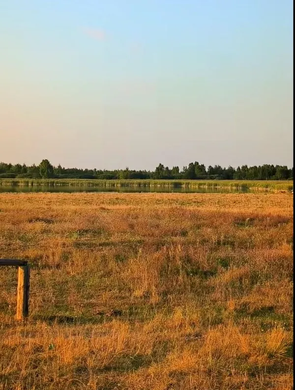 Міліє й помирає: де на Волині є озеро Веприк