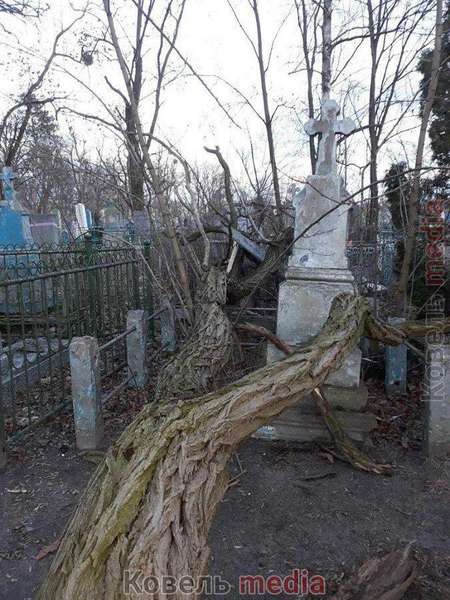 Пам’ятники розбиті: у Ковелі на кладовищі вітер повиривав дерева з корінням (фото, відео)