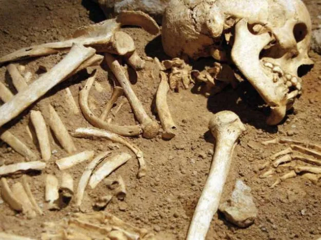 На Волині знайшли людські останки часів Першої світової війни