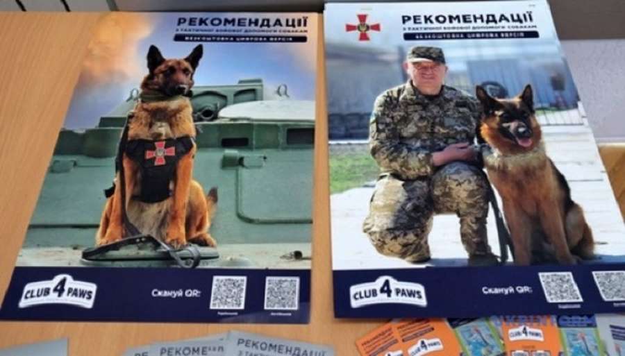 В ЗСУ розповіли, скільки службових собак загинуло внаслідок обстрілів РФ (відео)