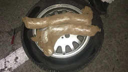На "Устилузі" собака "винюхав" наркотики в атомобілі (фото) 