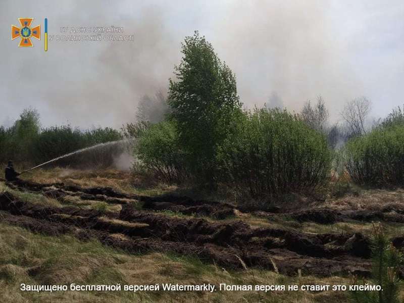 За день – три пожежі: рятувальники закликають волинян не палити траву (фото)
