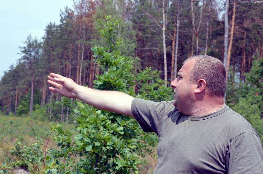 Руслан Войцеховський стверджує, що всихання дерев  спостерігається на території всієї області><span class=
