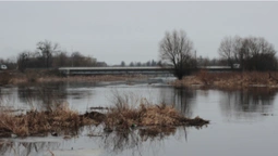 У Ковелі почистять річку Турія: повідомили деталі (фото)