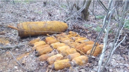 На Волині лісівники знайшли старі гранати і бомбу (фото)