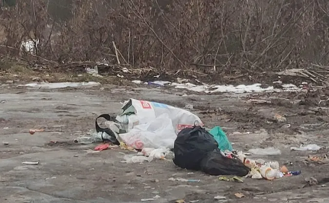 Депутат закликав надсилати йому фото луцького сміття