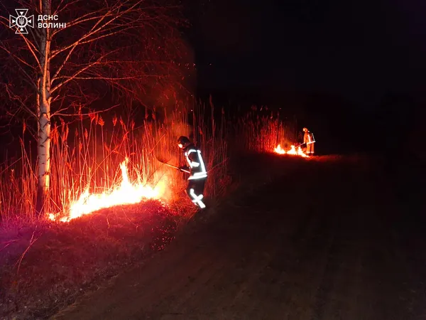 На Волині за добу згоріли майже 5 гектарів чагарників (фото)