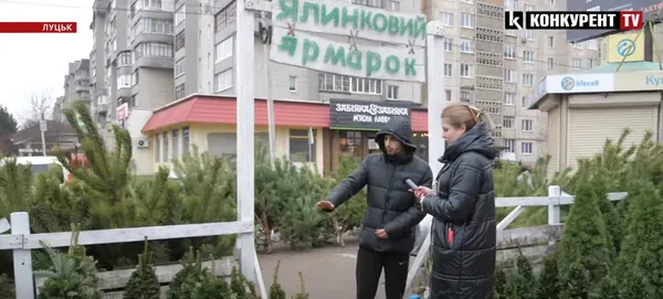 У Луцьку – ажіотаж на ялинки: які ціни (відео)