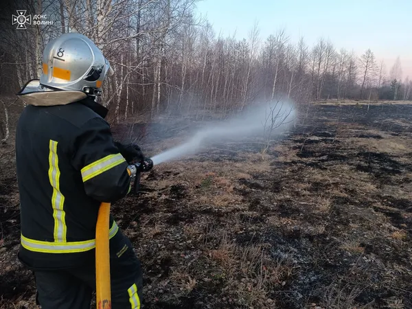 Через паліїв на Волині знову горіли поля і сухостій